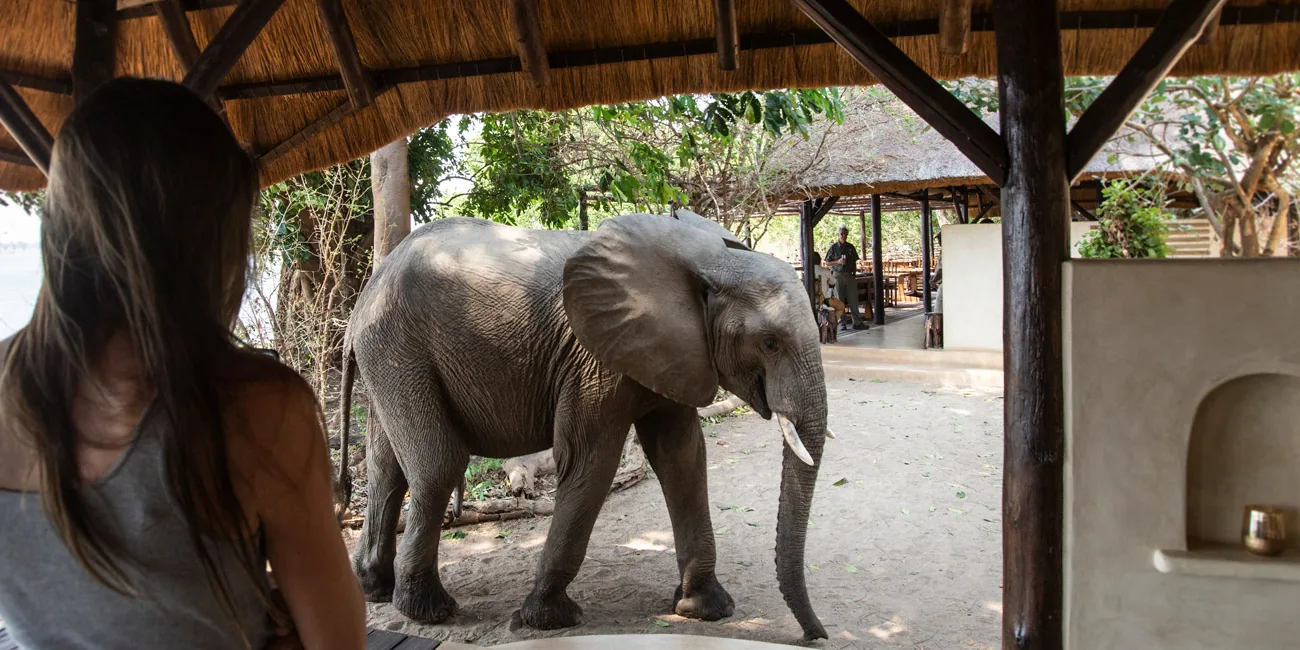 World-Class Walking Safaris