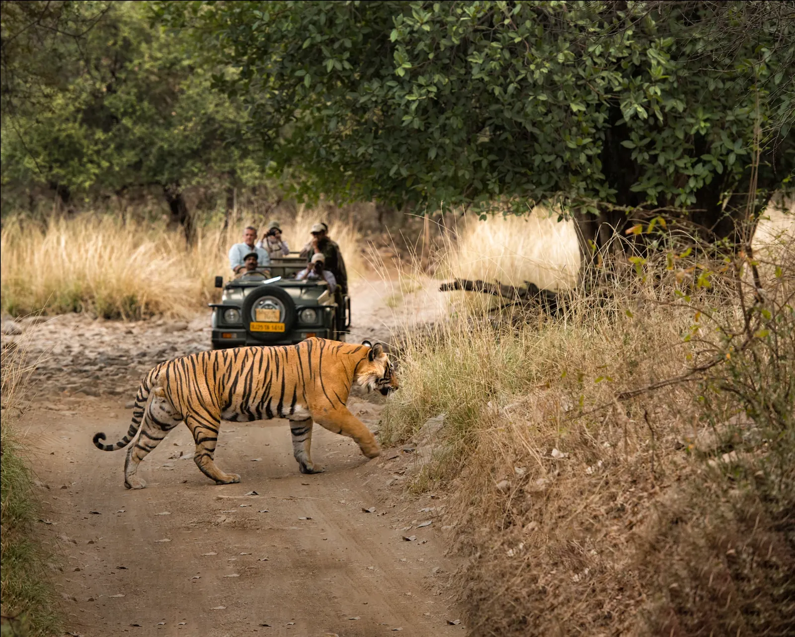 SUJÁN India