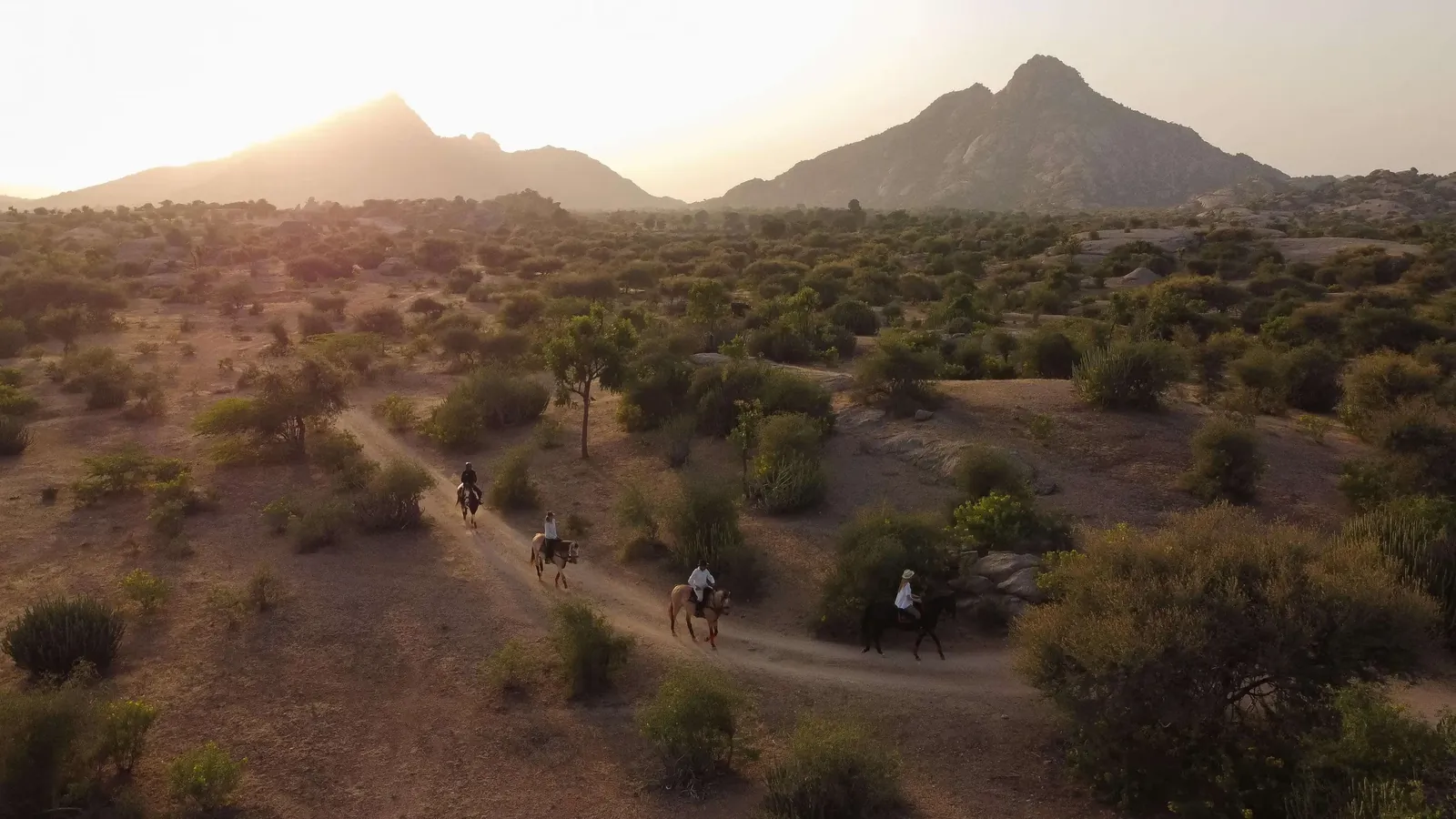 Horse Riding