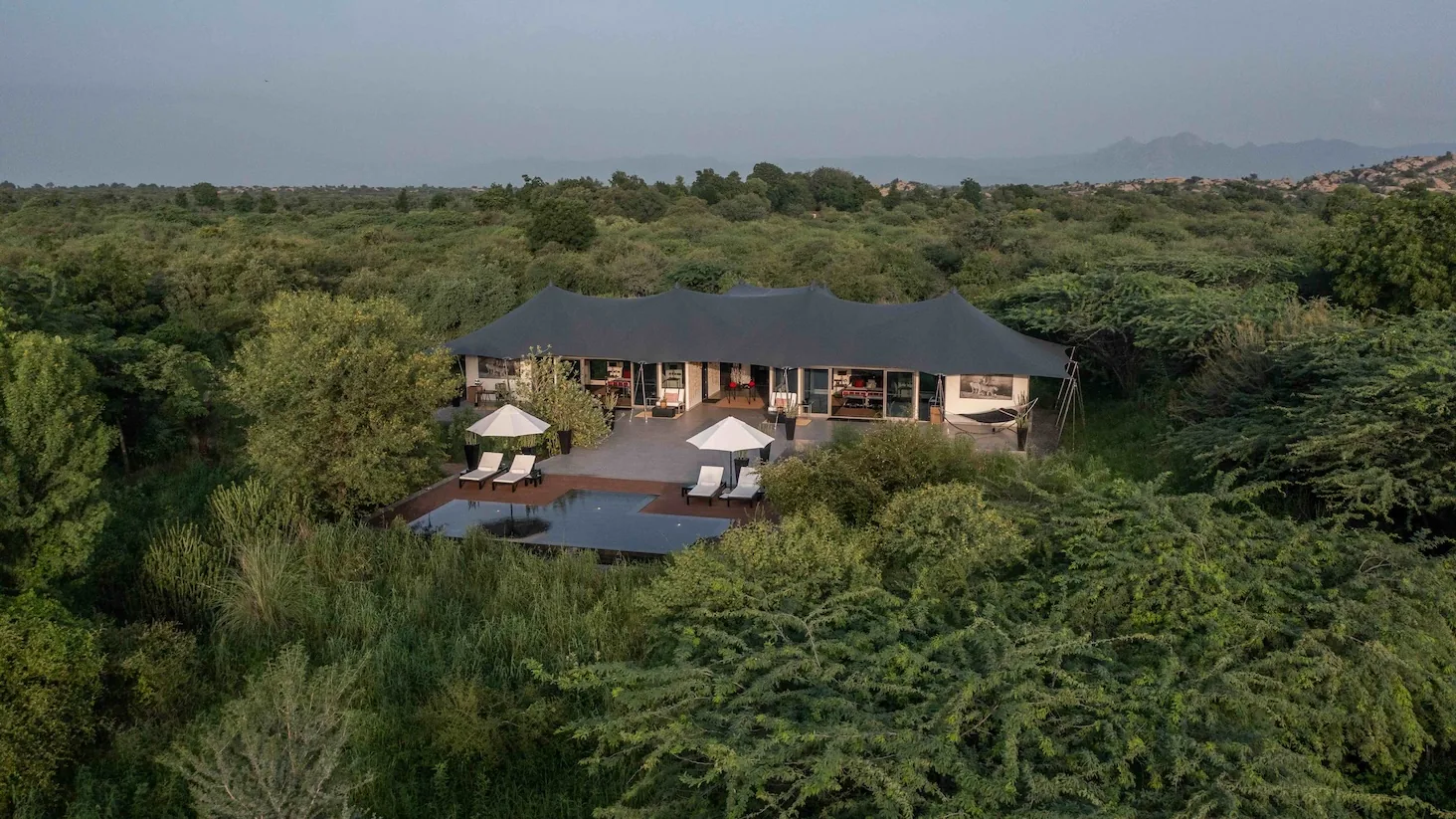 Eden at JAWAI