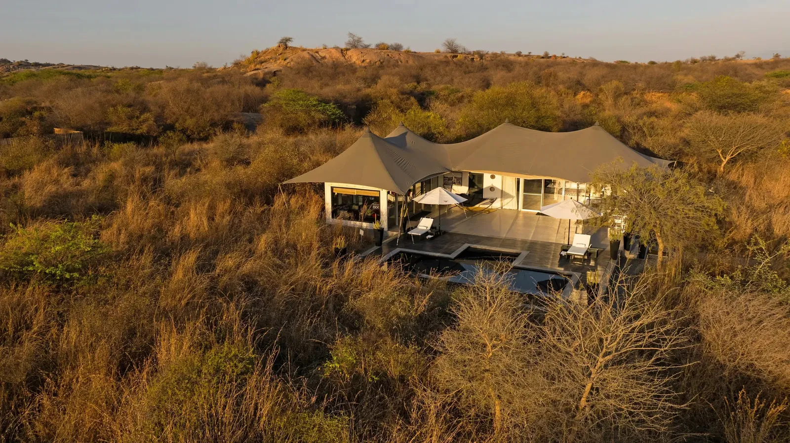 The Royal ‘Panthera’ Suite