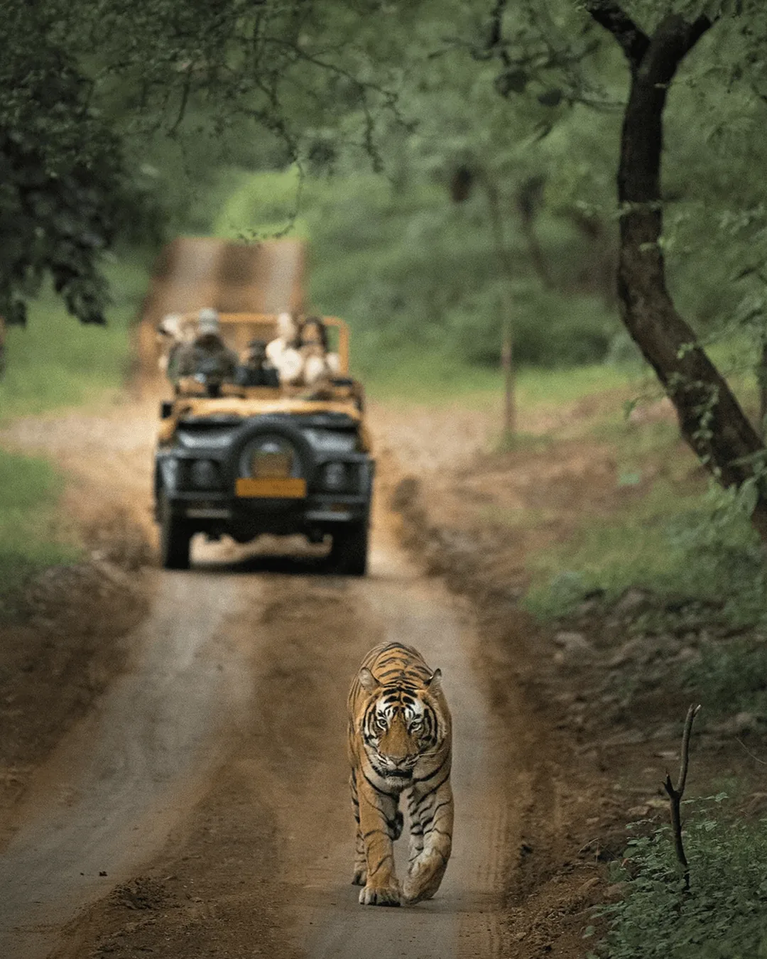 Ranthambhore Fort & Craft Trail