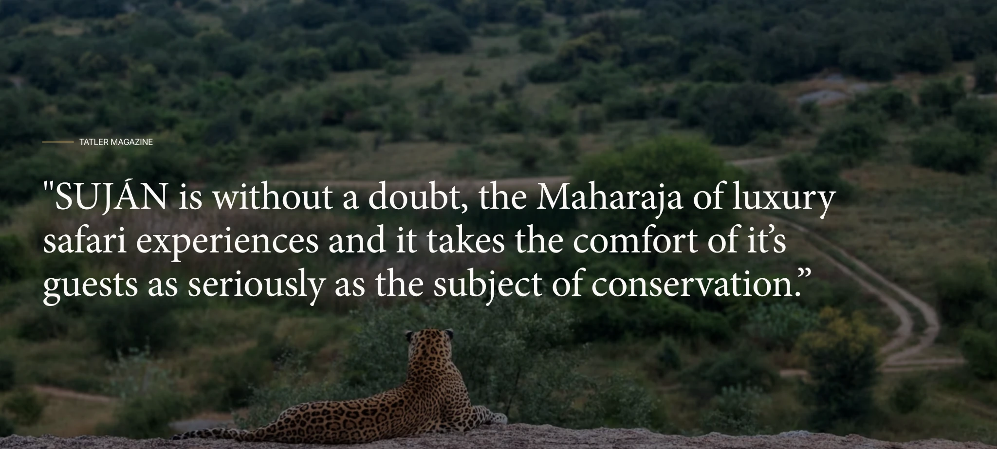 Tatler Magazine: SUJÁN is without a doubt, the Maharaja of luxury safari experiences and it takes the comfort of its guests as seriously as the subject of conservation.
