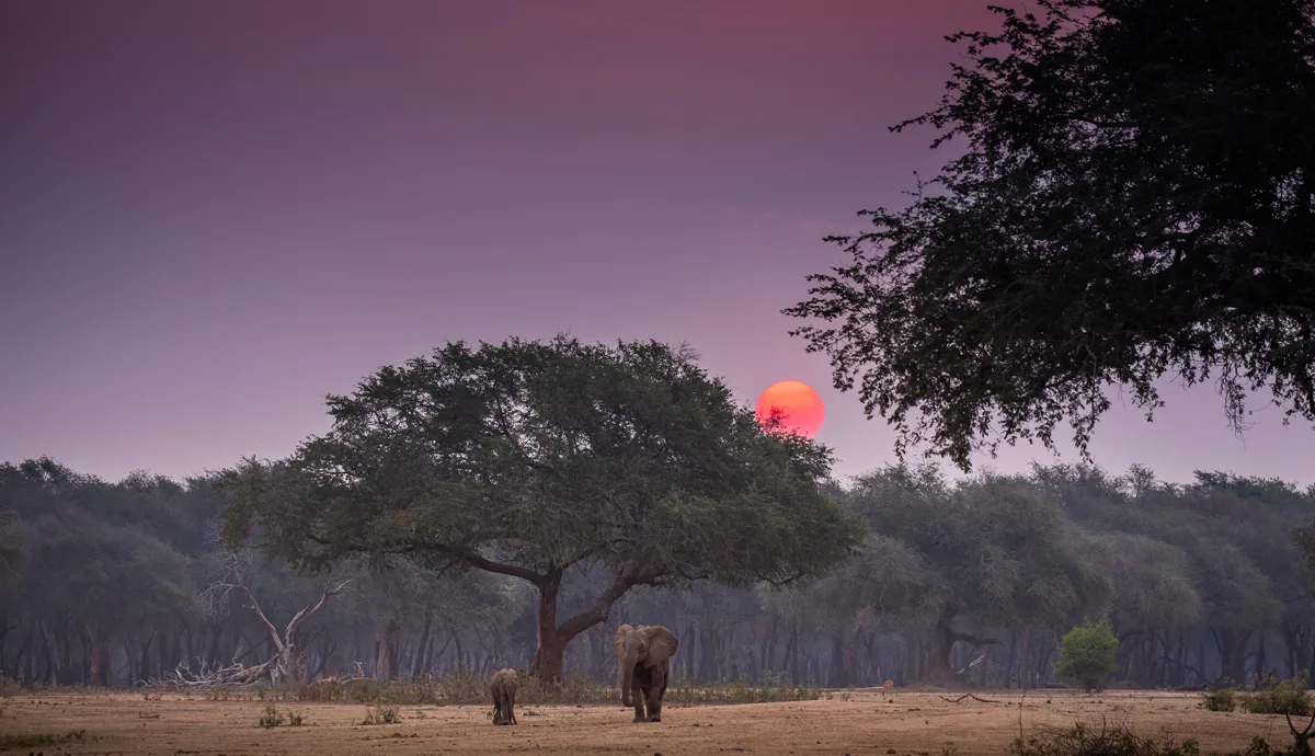 Zambezi Channel Drifts