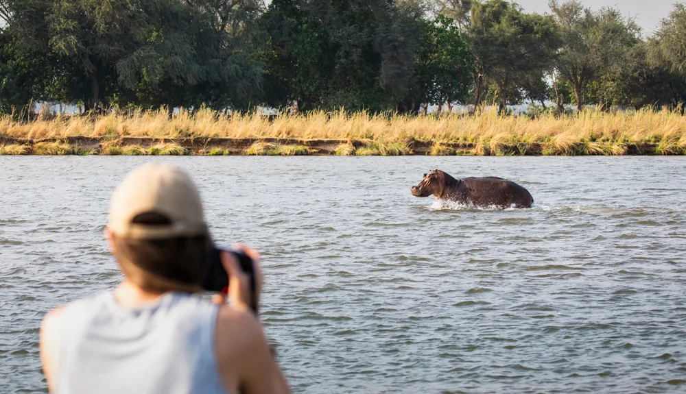 Intimate Walking Safaris